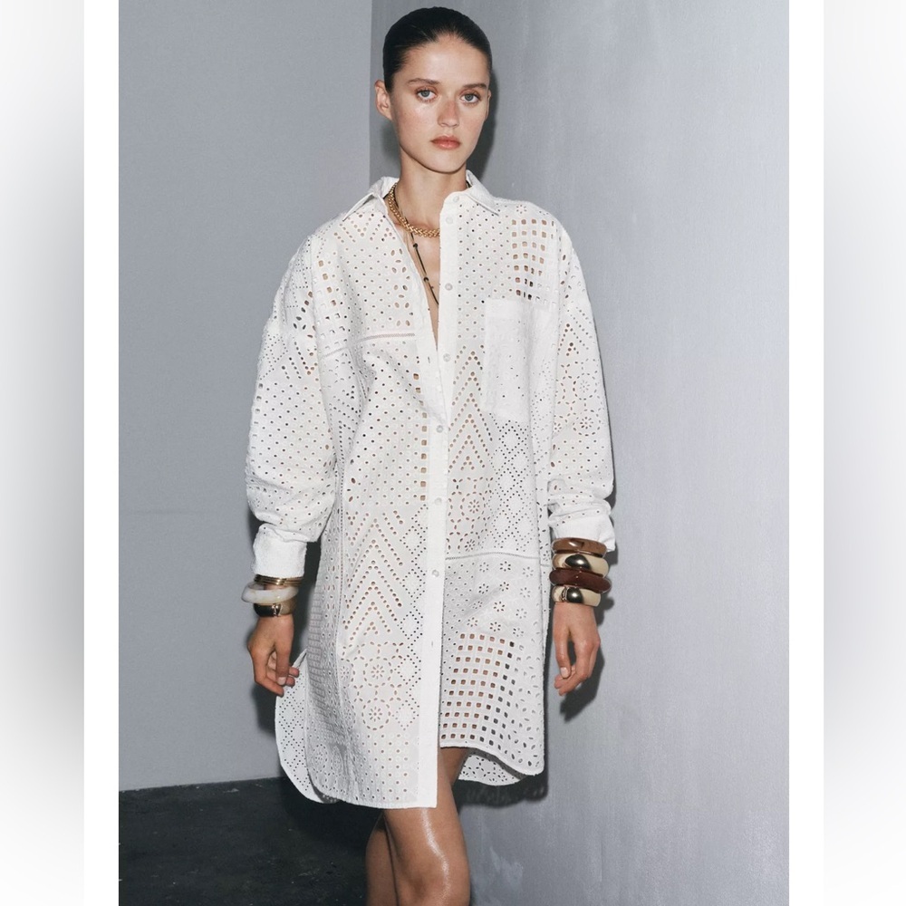 Zara ZW Collection Embroidered Eyelet Dress - Picture 4 of 11